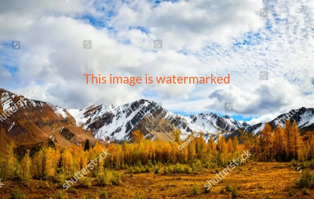 واترمارک چیست ؟ راهنمایی برای محافظت از محتوای شما واترمارک چیست ؟ راهنمایی برای محافظت از محتوای شما