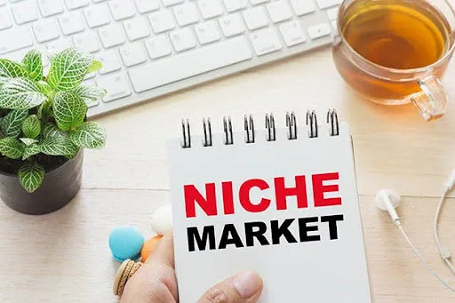 تفاوت نیچ مارکت با بازار عمومی تفاوت نیچ مارکت با بازار عمومی