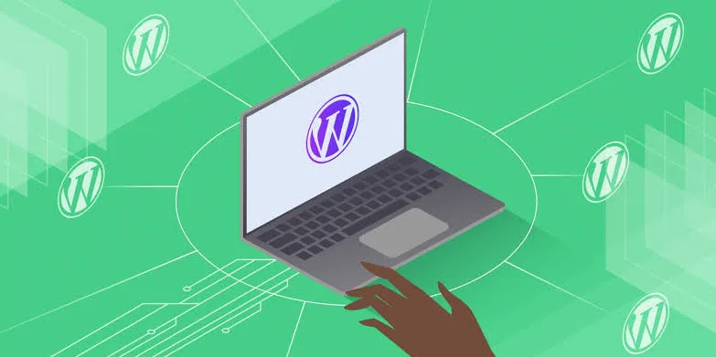 تاثیر WordPress Multisite بر سئو