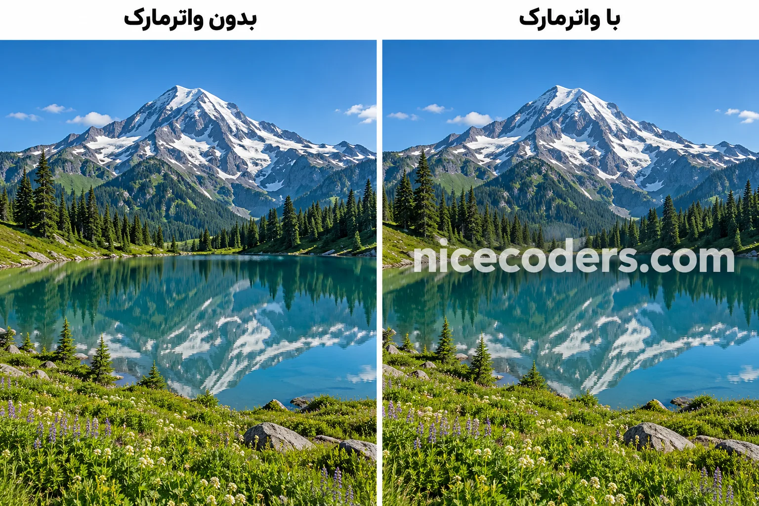 مقایسه تصویر اصلی با نسخه دارای واترمارک نایس کدرز مقایسه عکس بدون واترمارک و با واترمارک